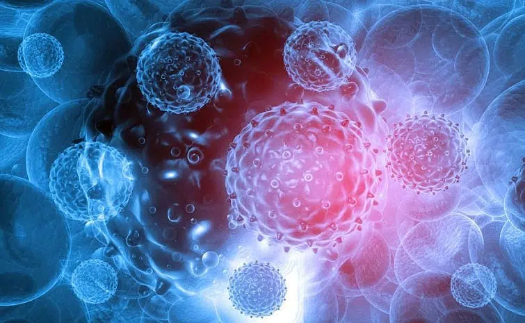 Can we trust organic household products to remove bacteria and viruses?