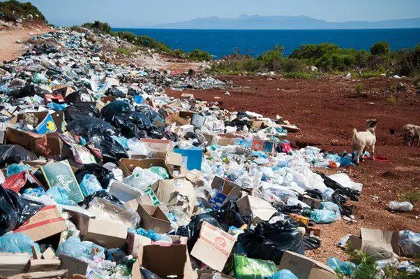 Let’s go full circle and make waste redundant