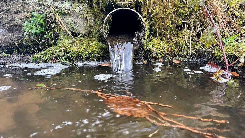 What do you send down your drain?