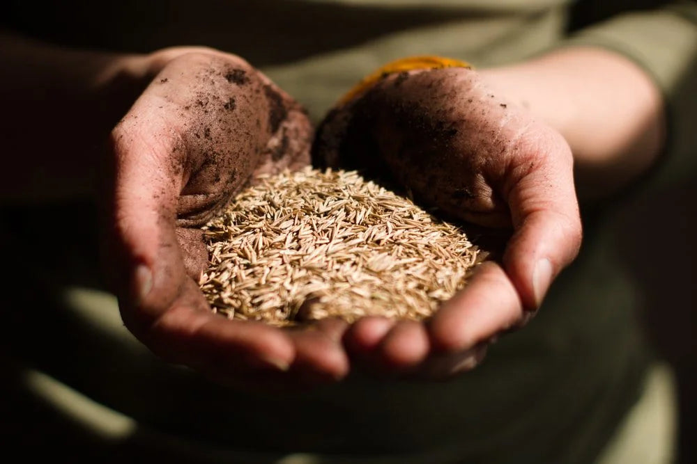 Provenance and the fight against Greenwashing
