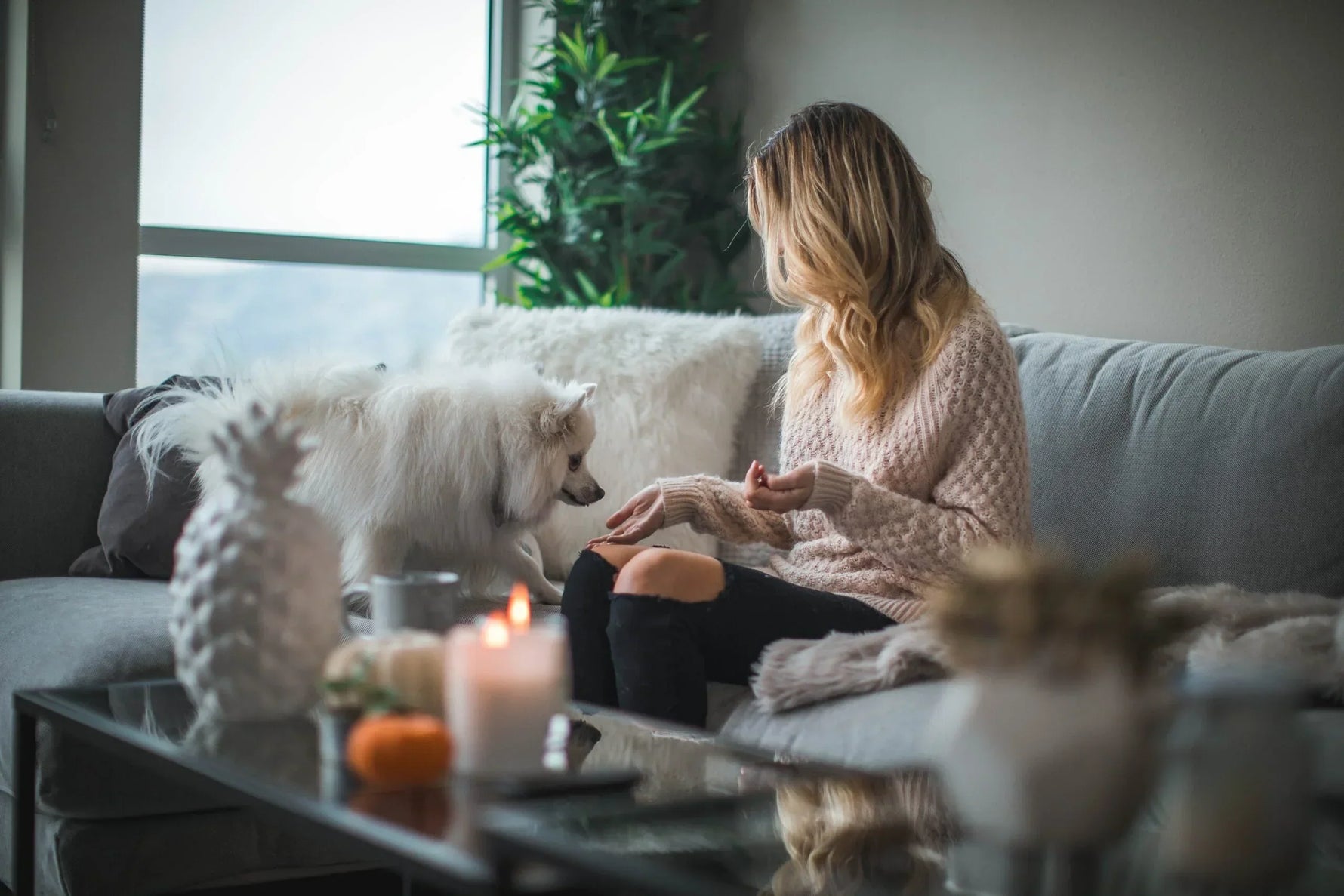 Boost your wellbeing with winter cleaning
