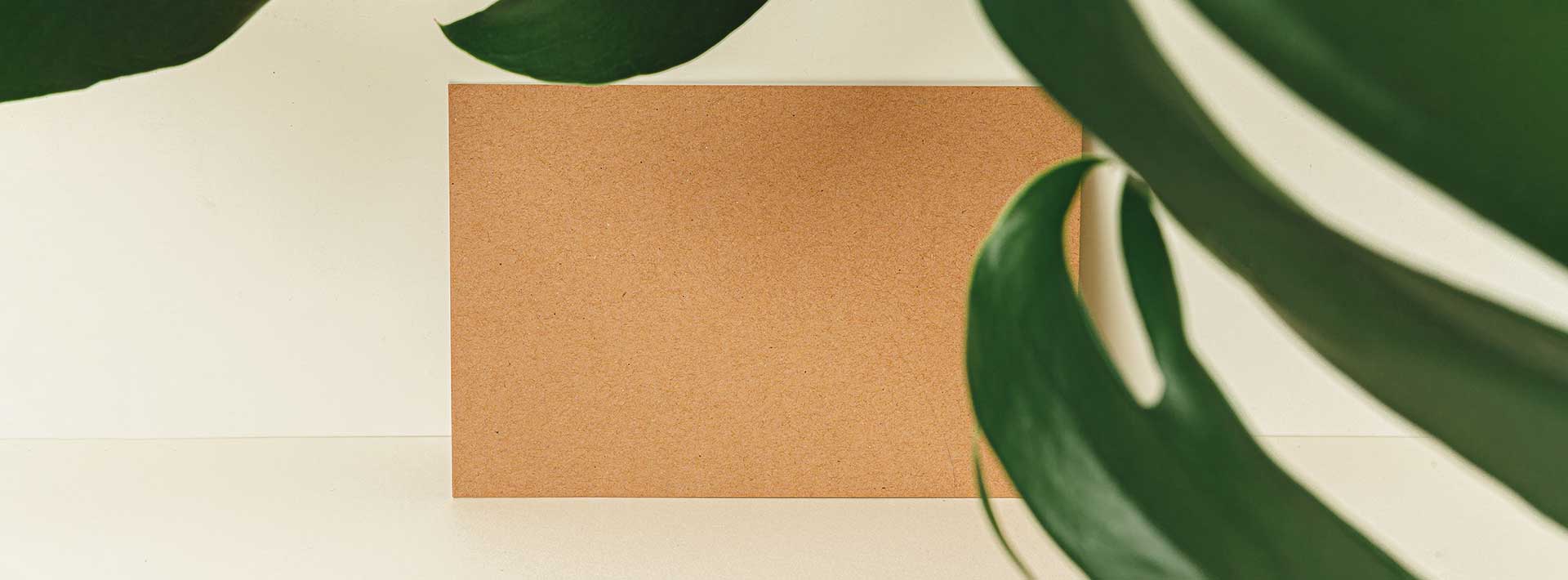 Brown square card with green leaves on a light background