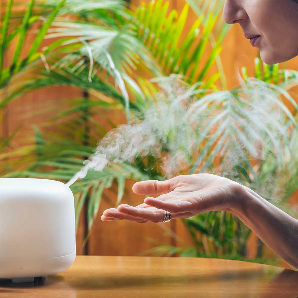 Person holding a diffused essential oil with a white diffuser and plants in the background