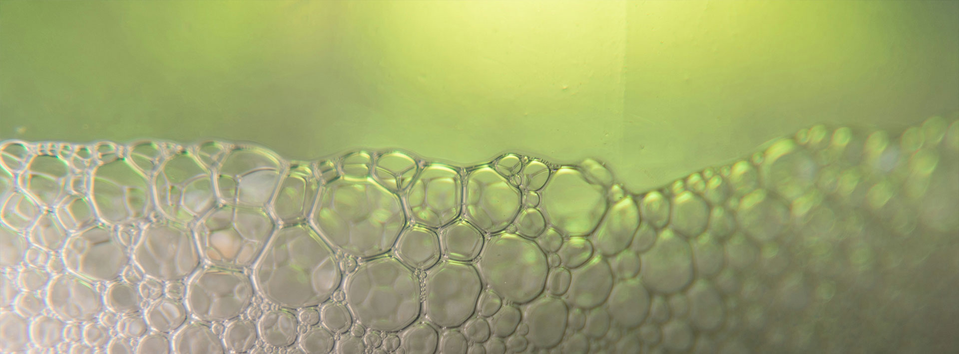 Close-up of water bubbles on a green background