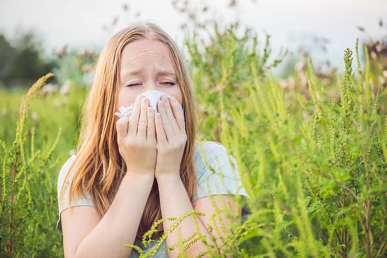 Greenscents for allergies